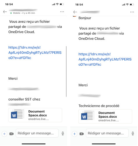 Virus LinkedIn pi&egrave;ce jointe Words