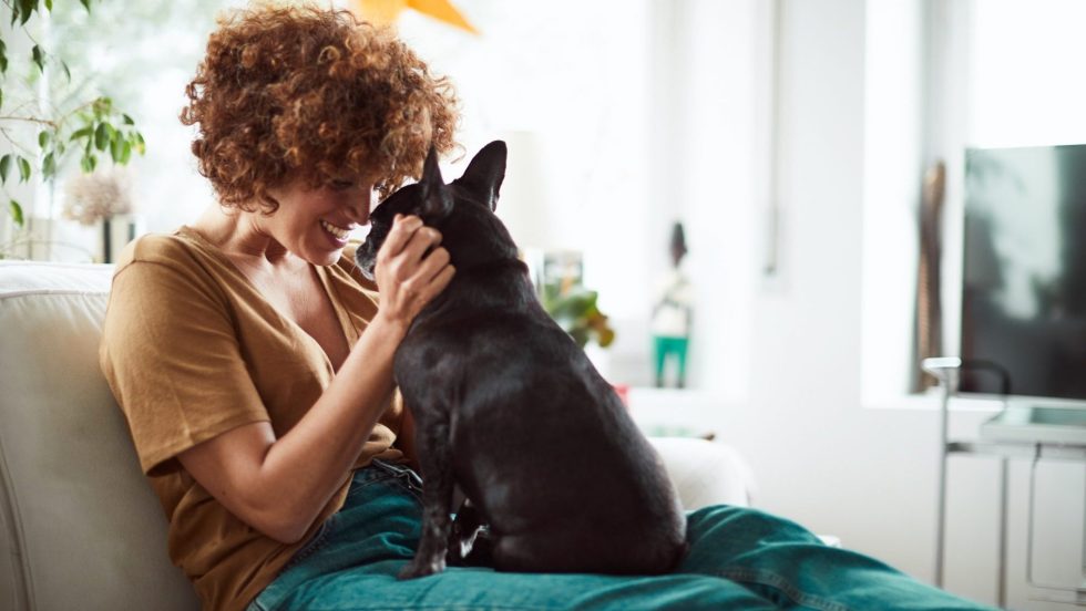 Les chiens sont les meilleurs amis de la femme, pas de l’homme