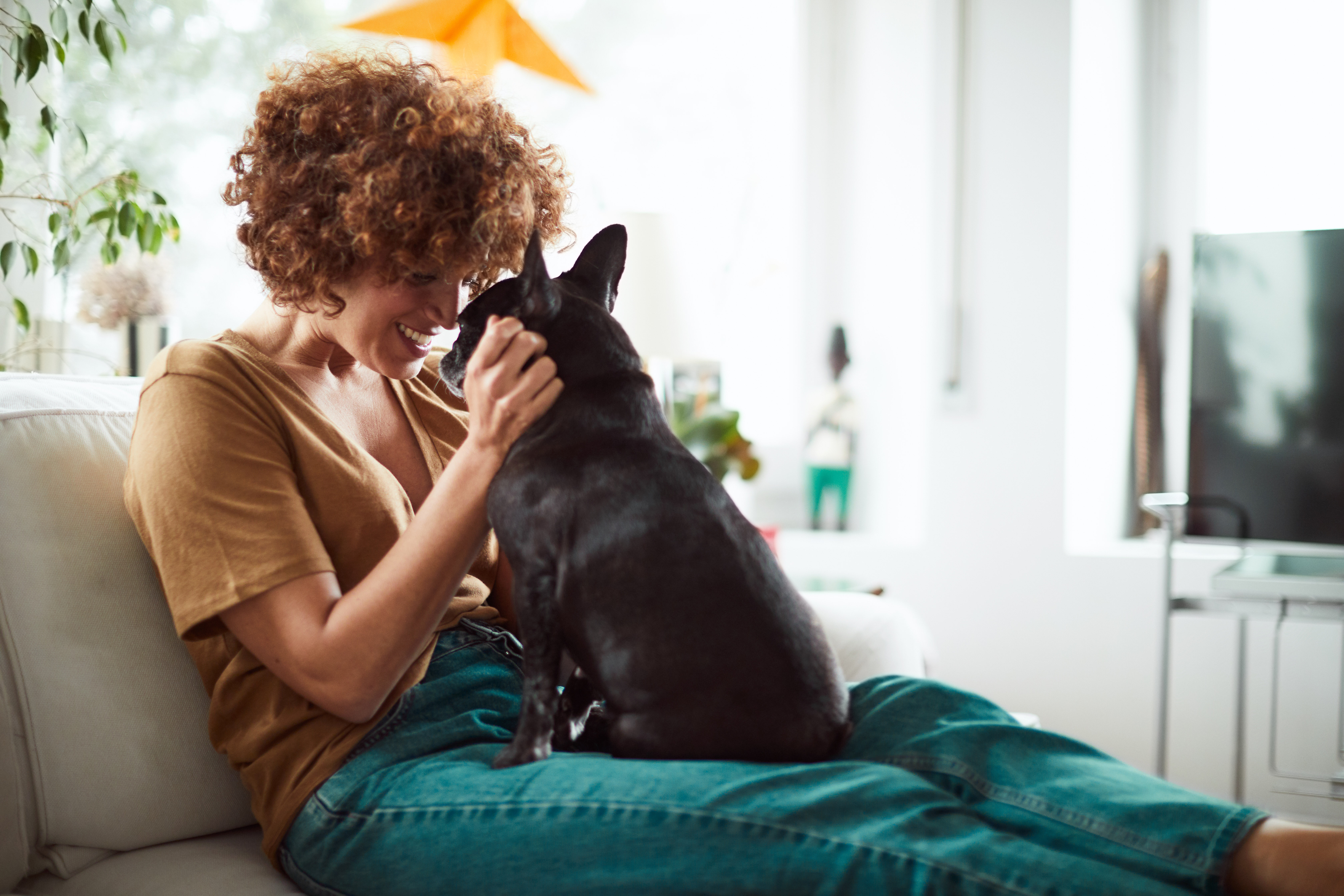 Les chiens sont les meilleurs amis de la femme, pas de l’homme