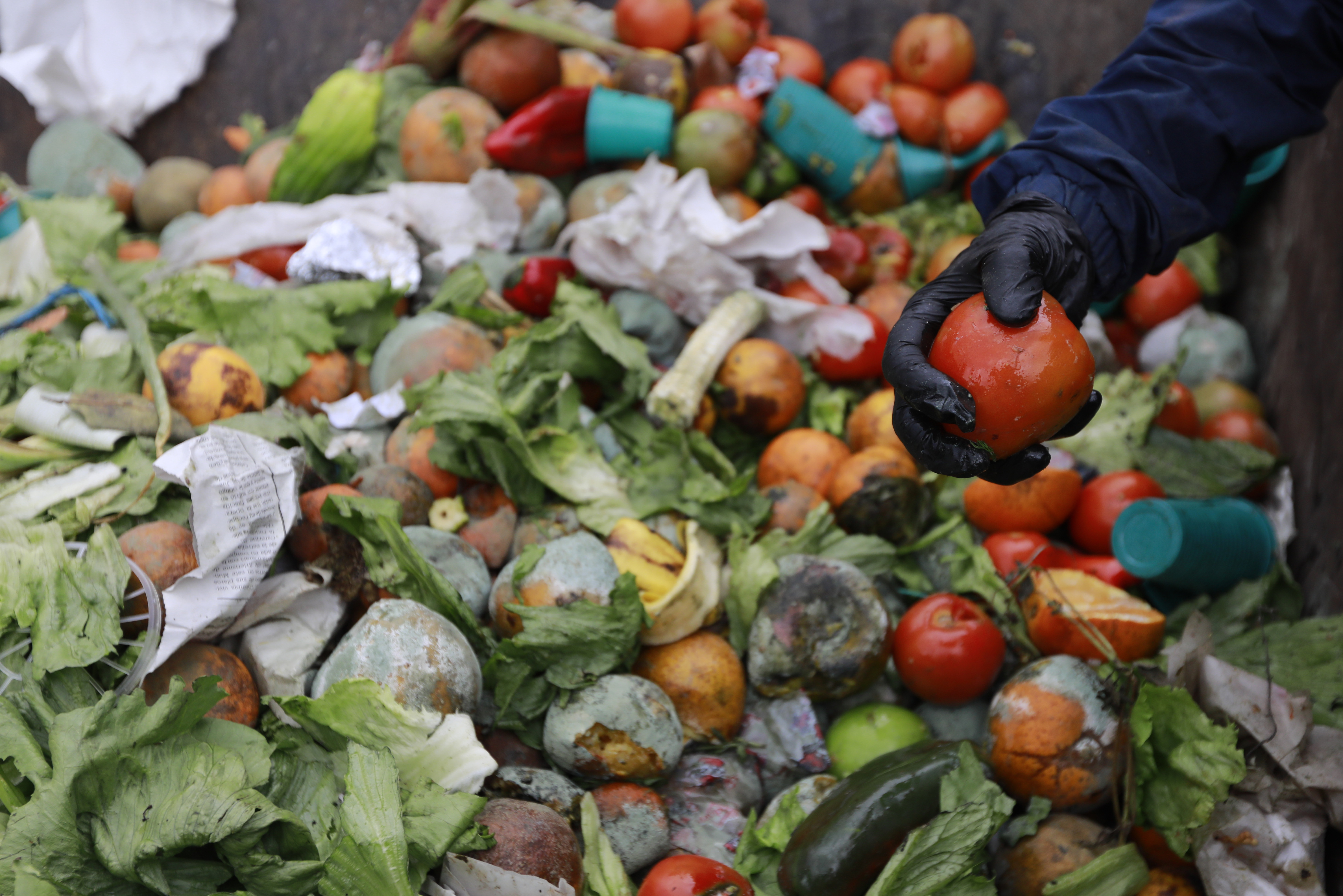 Halte au gaspillage alimentaire mondial