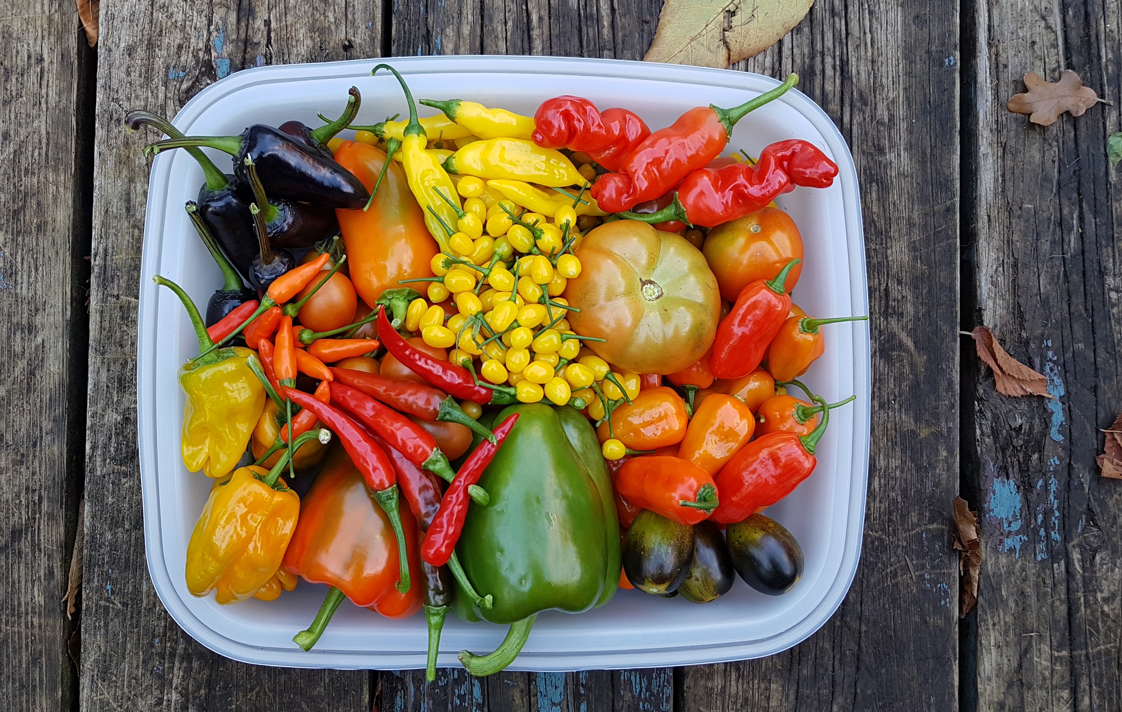 Le jardinage dans un esprit de partage