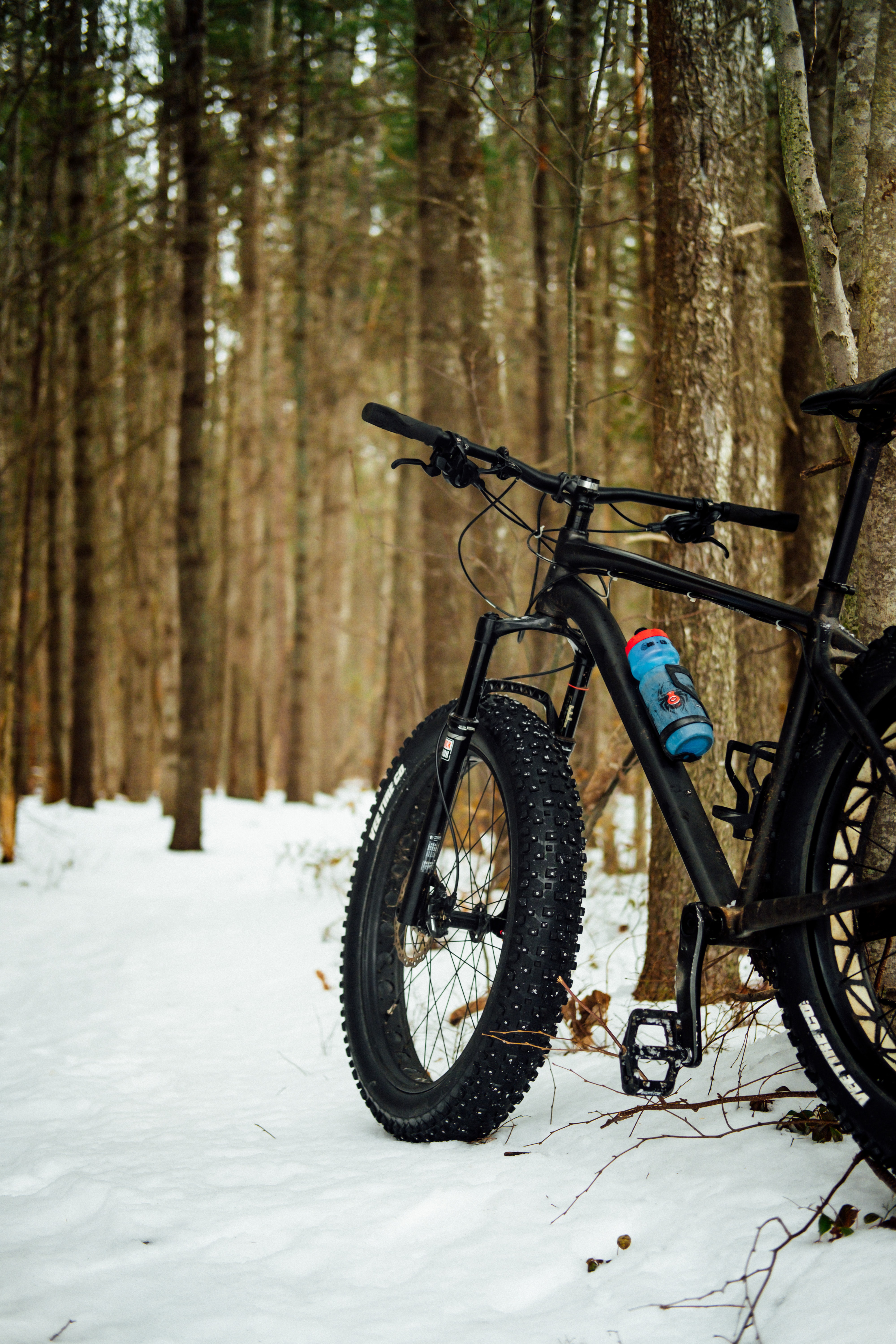 Les adeptes du fatbike en progression