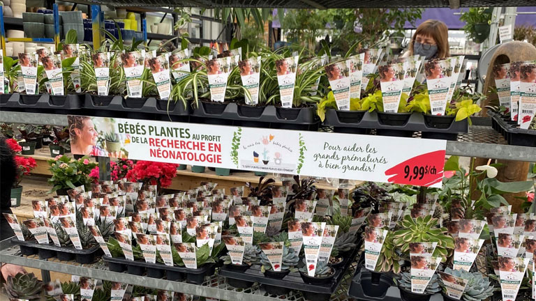 mois des b&eacute;b&eacute;s plantes n&eacute;onatologie unit&eacute; magasins participants