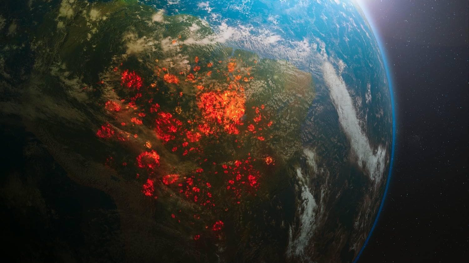 Combattre la déforestation à l’aide de l’IA