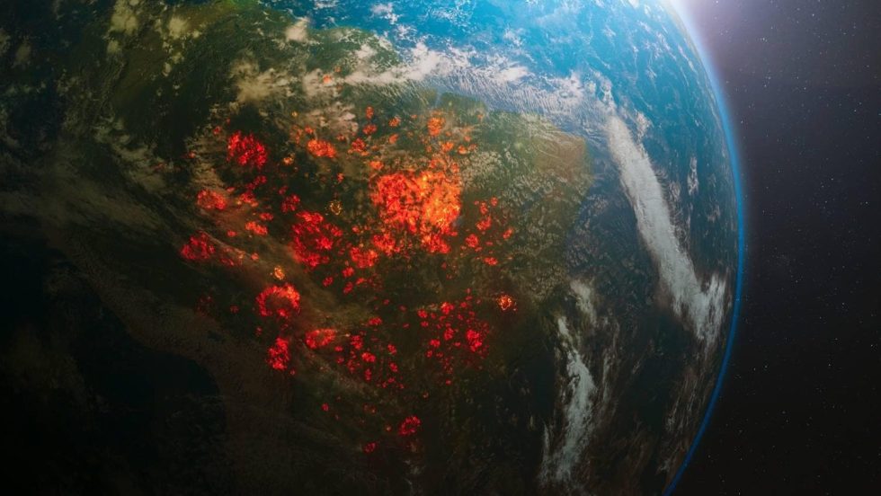 Combattre la déforestation à l’aide de l’IA