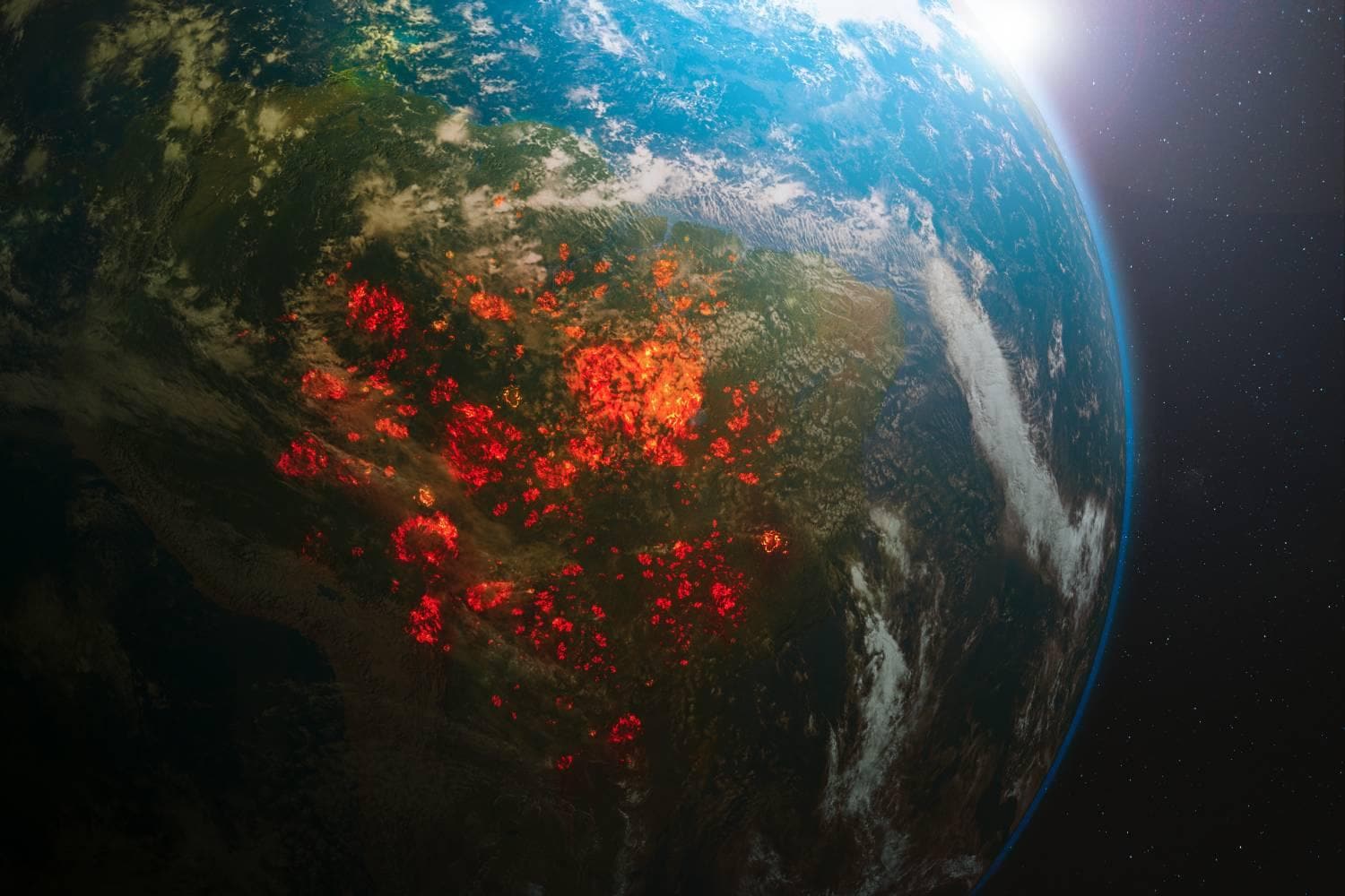 Combattre la déforestation à l’aide de l’IA