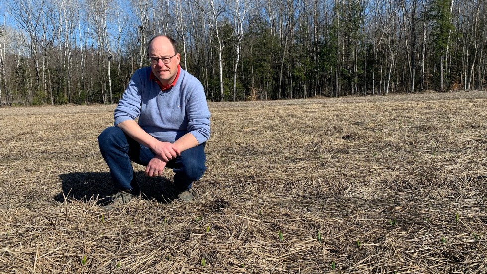 Luc Gagnon d'Ail de la montagne sur sa terre à Rigaud