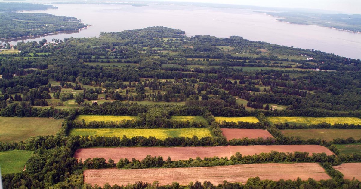 history of nature and history in the face of urban sprawl