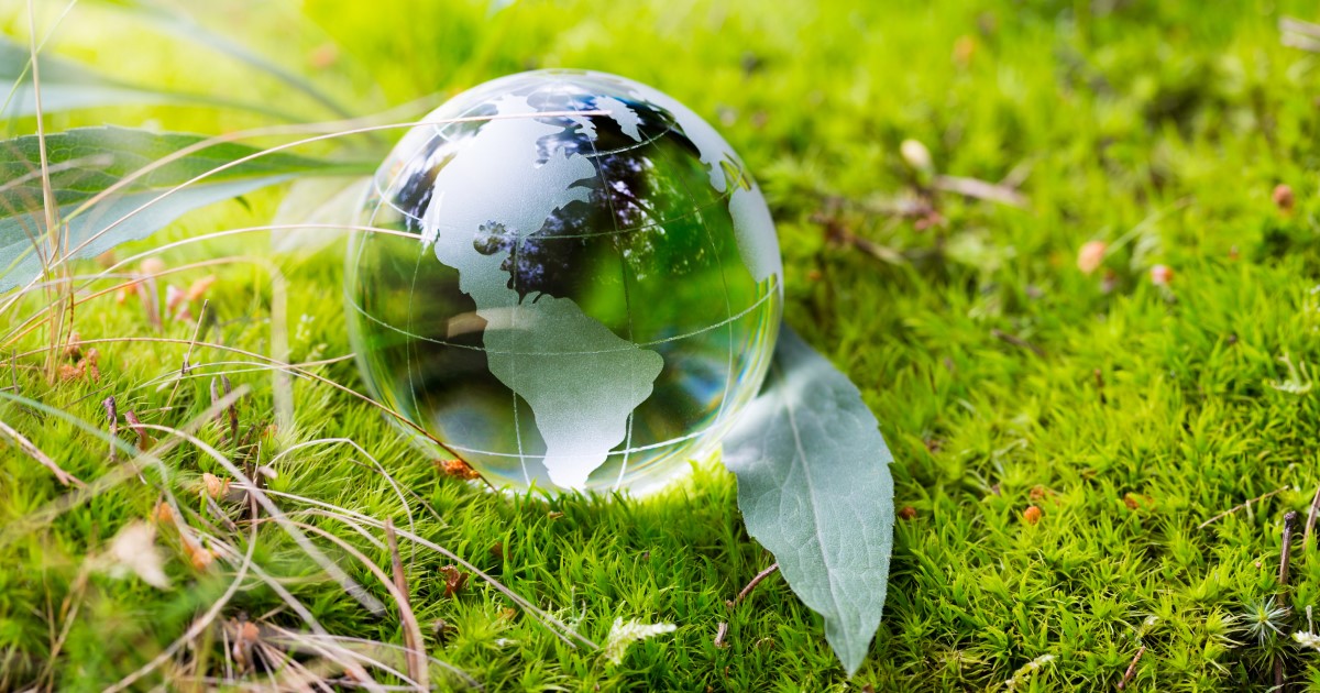 Prendre Soin De L Environnement Ca Commence Dans Son Arrondissement Prendre Soin De L Environnement Ca Commence Dans Son Arrondissement
