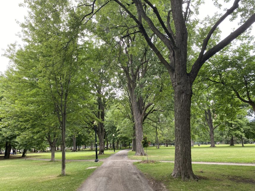 Festival Zéro Déchet