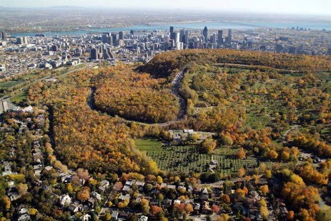 Image aérienne de la forêt urbaine du mont Royal, à Montréal.