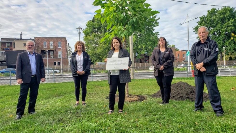 n prix spécial décerné à l'ensemble de la communauté