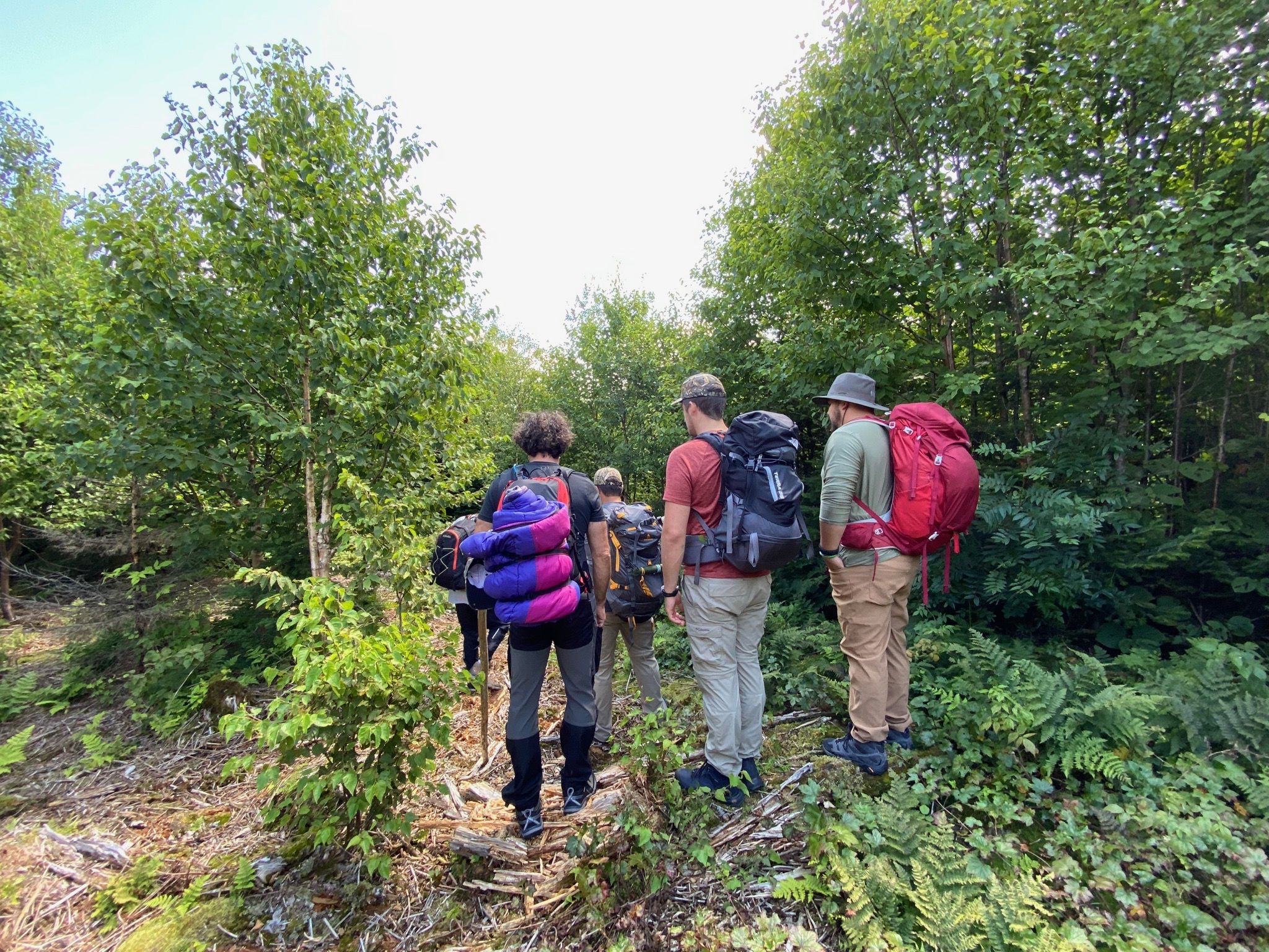 Survivre en for&ecirc;t en se &laquo;perdant&raquo; dans les Laurentides avec Kanatha-Aki