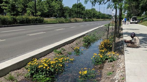 Aperçu du réaménagement de l'avenue Papineau dans Ahuntsic.