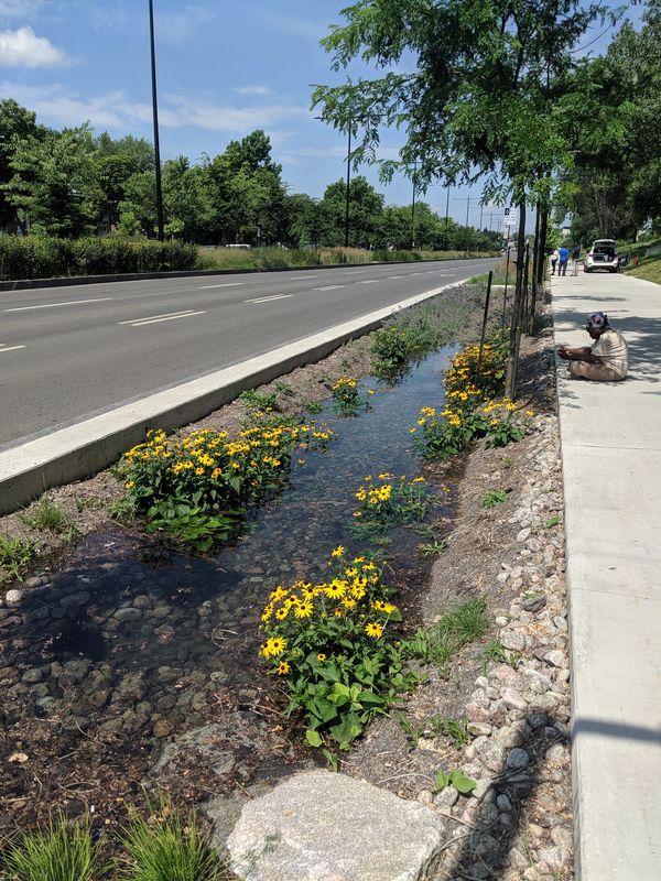 Aperçu du réaménagement de l'avenue Papineau dans Ahuntsic.