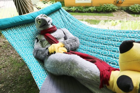 furries Flloyd The Bird, alias, Étienne Charbonneau, se repose dans un hamac.