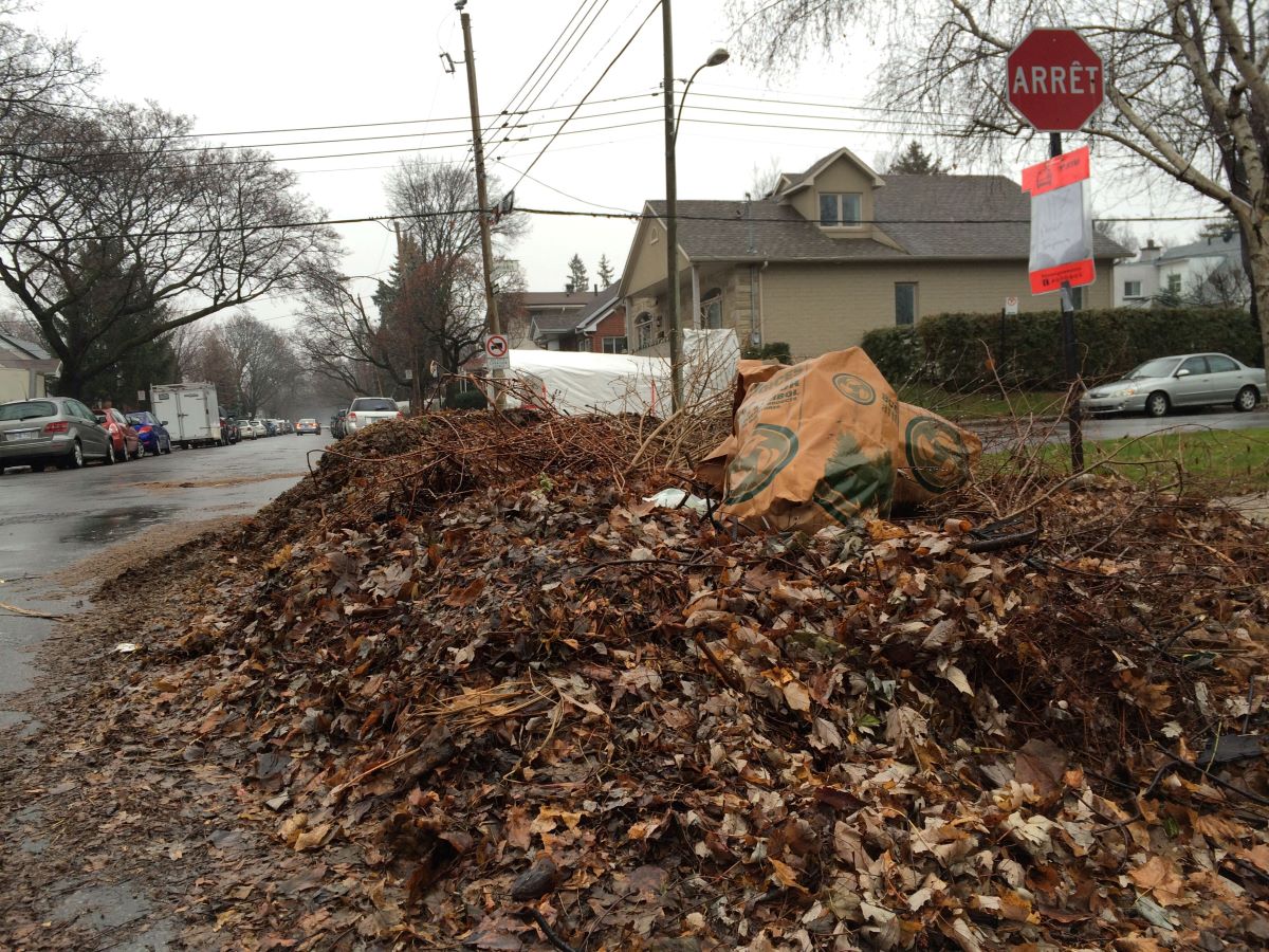 Ramassage_feuilles_CA