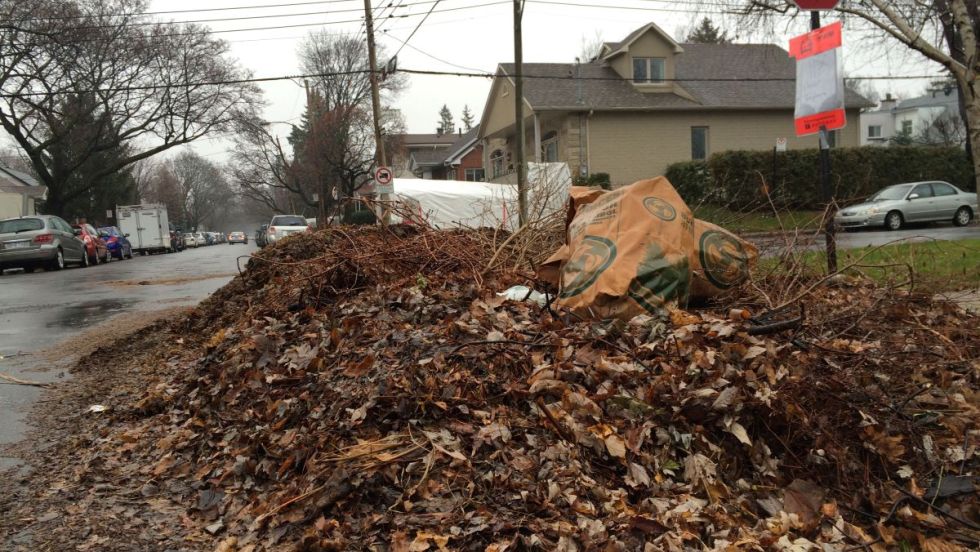 Ramassage_feuilles_CA