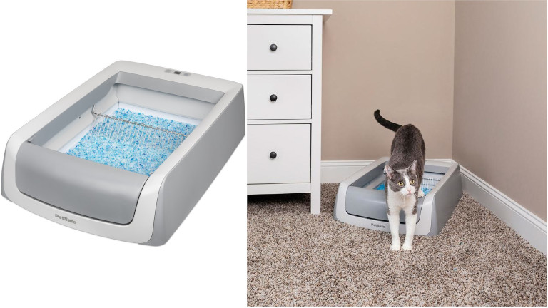 chat litiere petsafe autonettoyante scoopfree