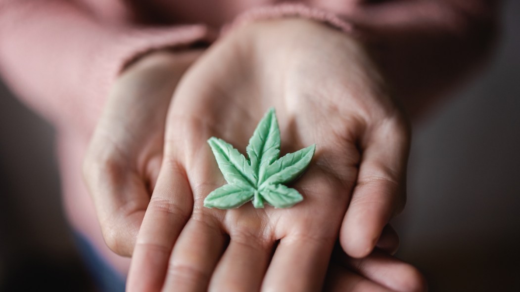 Vue rapprochée de deux mains d'une personne jeune tenant une feuille de cannabis