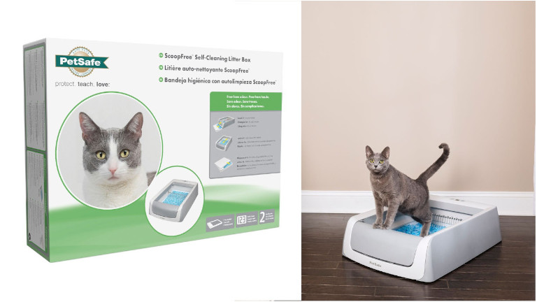 litiere scoopfree chat petsafe
