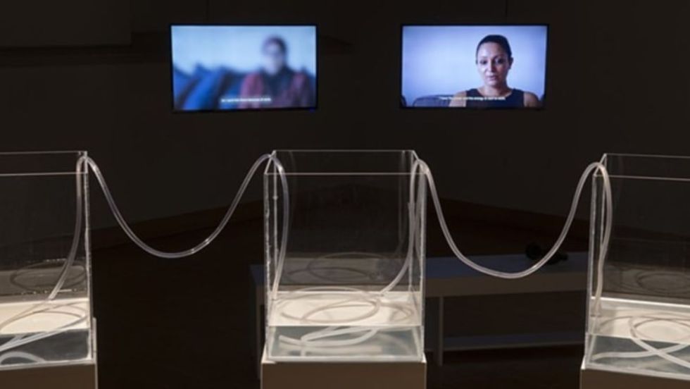 Exposition oiseaux frontières