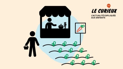 Le Curieux du 17 décembre sur l'achat local