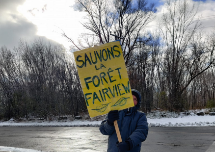 Sauvons la Forêt Fairview