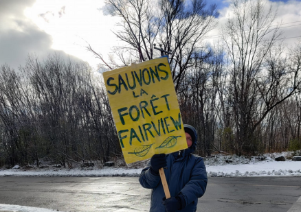 Sauvons la For&ecirc;t Fairview