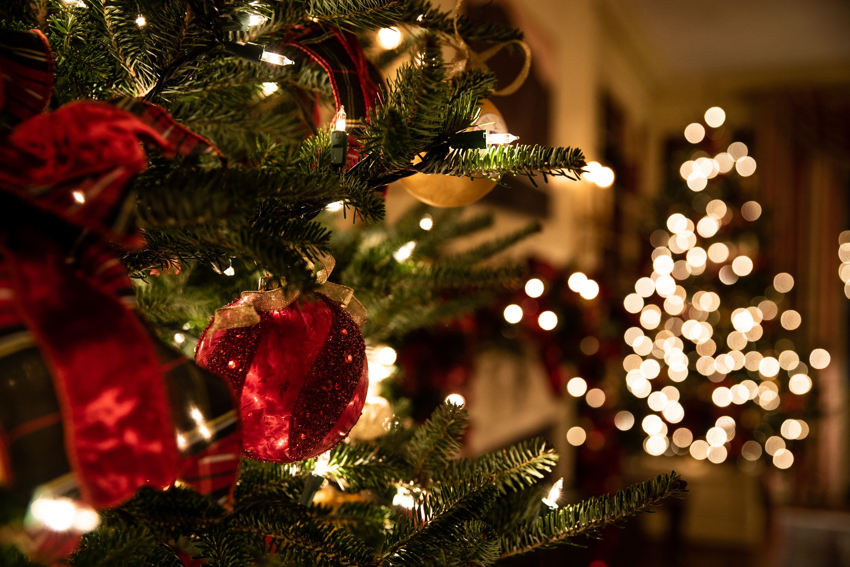 sapin naturel artificiel
