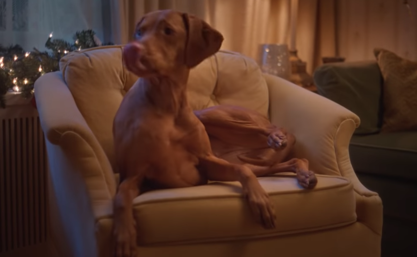 chien Kiki