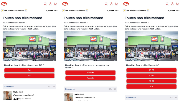 exemple questions pos&eacute;es tentatives hame&ccedil;onnage IGA