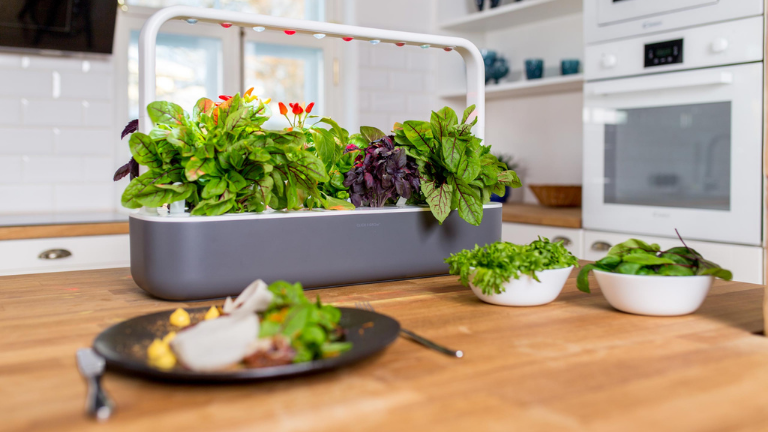 Smart Soil s&eacute;curitaire repas sans pesticide