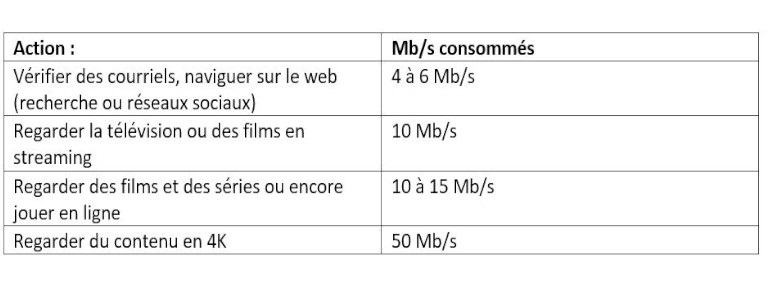 activit&eacute; m&eacute;gabit utilis&eacute;s internet bande passante vitesse
