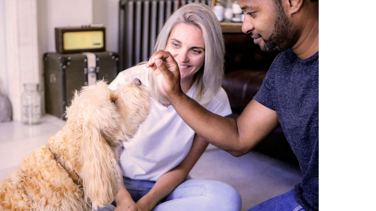 plateforme TrustedHousesitter occuper animaux r&ecirc;ve voyage