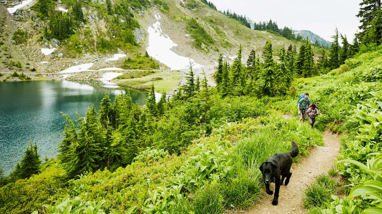 plateforme TrustedHousesitters gardiennage animaux occuper