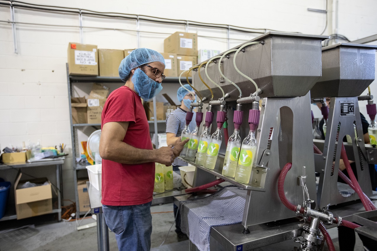 L'entreprise Y Kombucha diminue sa marge de profits