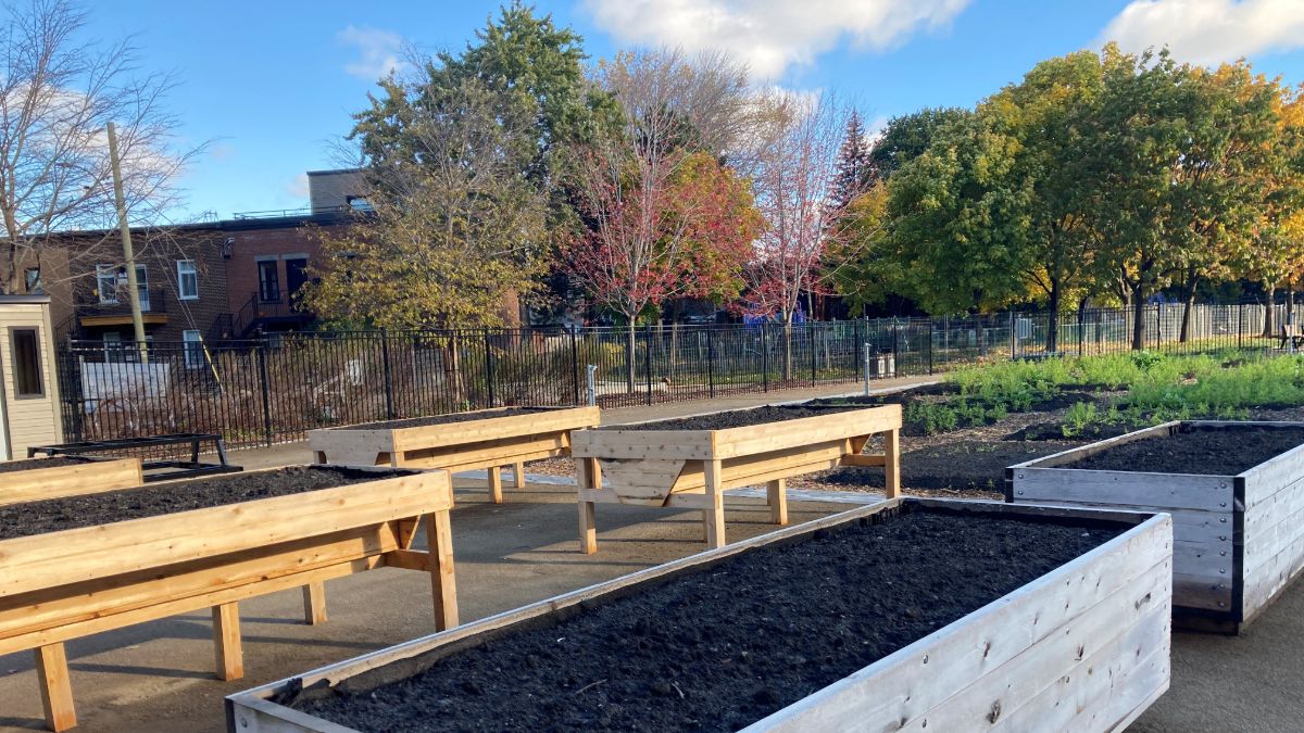 Jardin collectif Saint-Henri