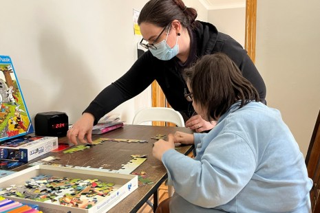 d&eacute;ficience intellectuelle