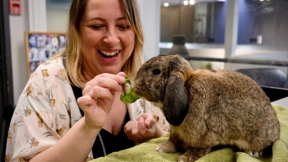 Fanny-Claudie Solomon avec le lapin Robert
