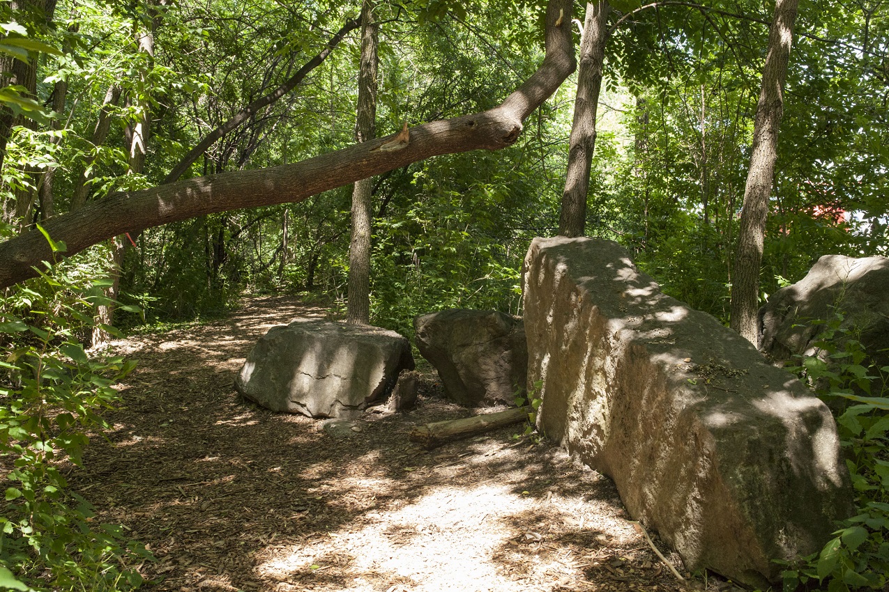 Le boisé du parc Marcel-Laurin