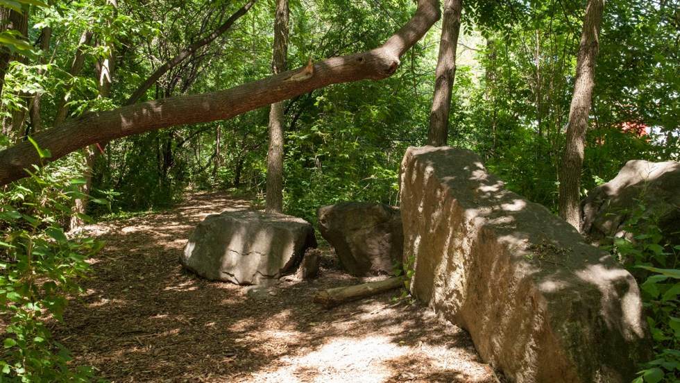 Le boisé du parc Marcel-Laurin