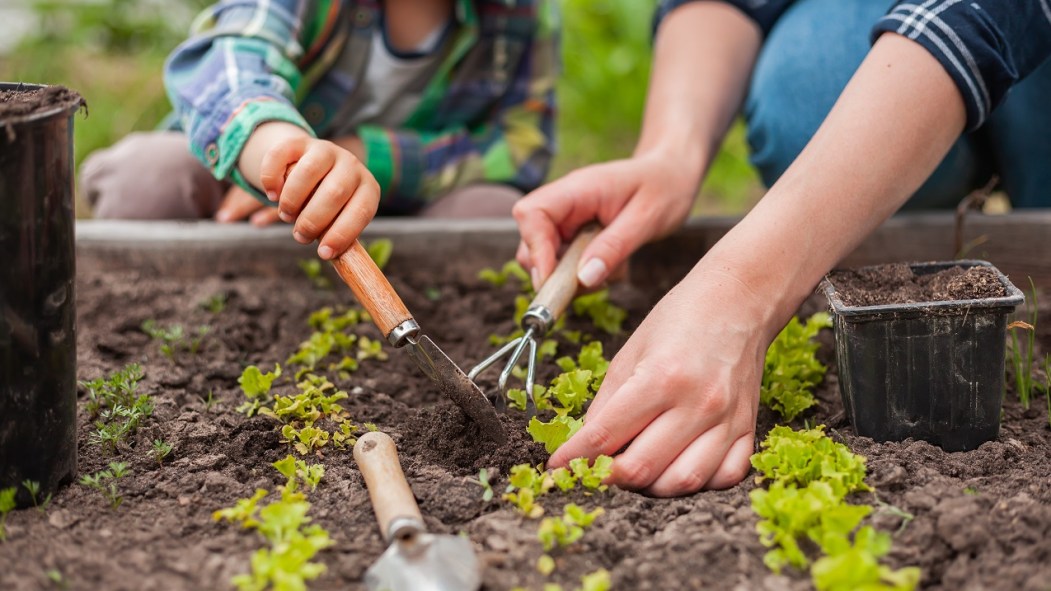 Plusieurs activités de jardinage auront lieu en mai