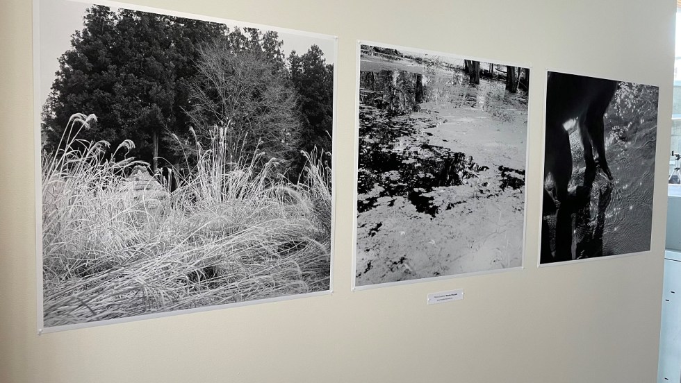 L'exposition se trouve sur différents murs de la bibliothèque du Boisé