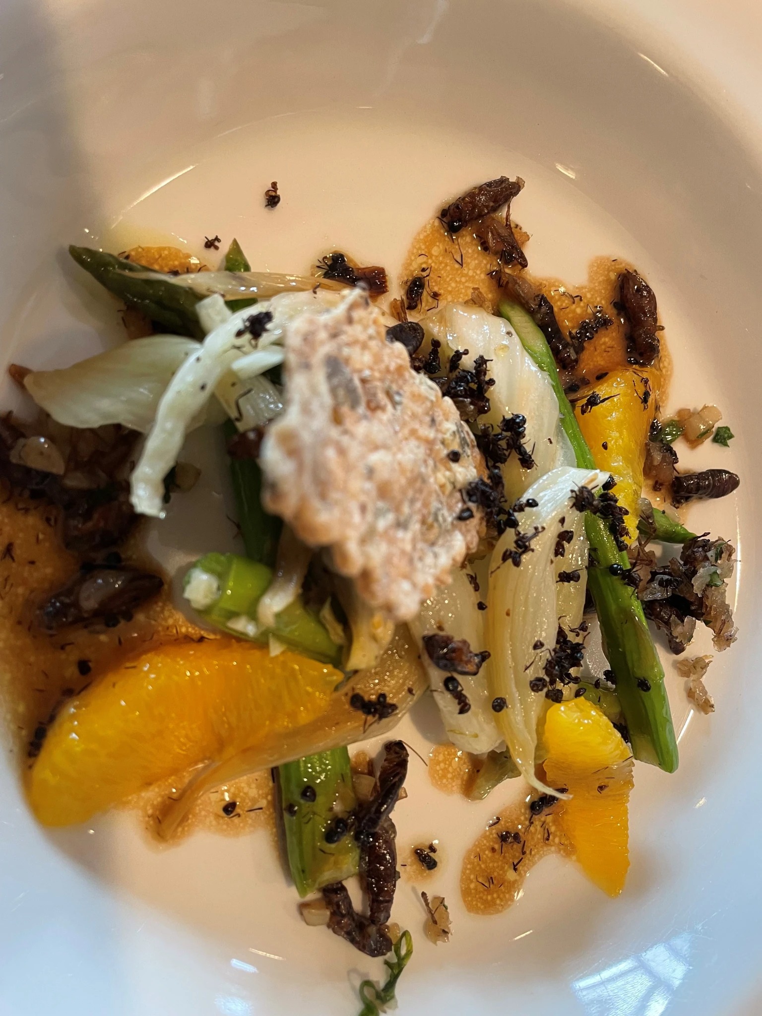 Grillons rôtis, asperges, fenouil, salade d’oranges, vinaigrette aux fourmis noires