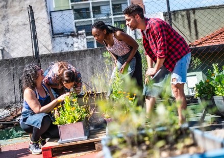quatre personnes dans une ferme urbaine