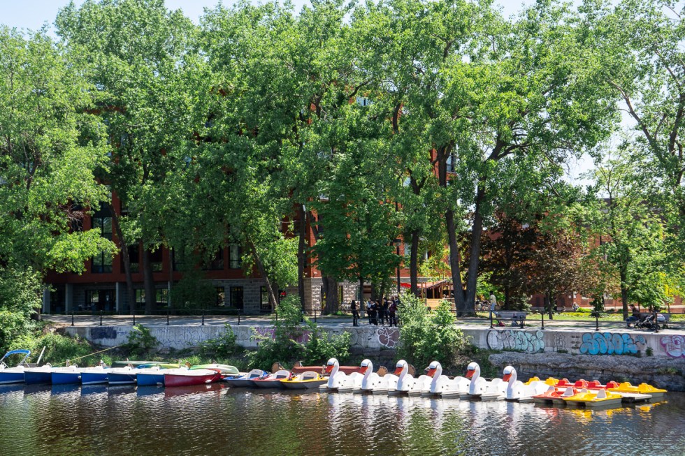 Restriction d’accès temporaire au canal de Lachine