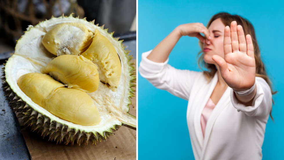Un durian. Une femme se bouchant le nez.