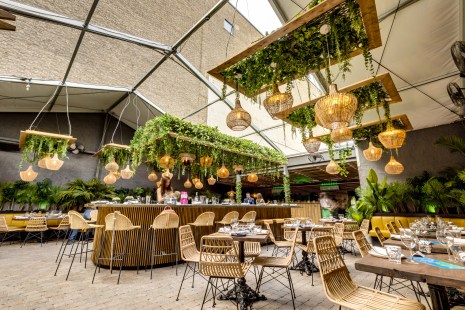 Terrasse Greenwood &agrave; Montr&eacute;al