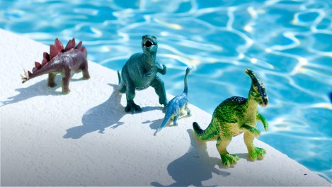 Piscines extérieures